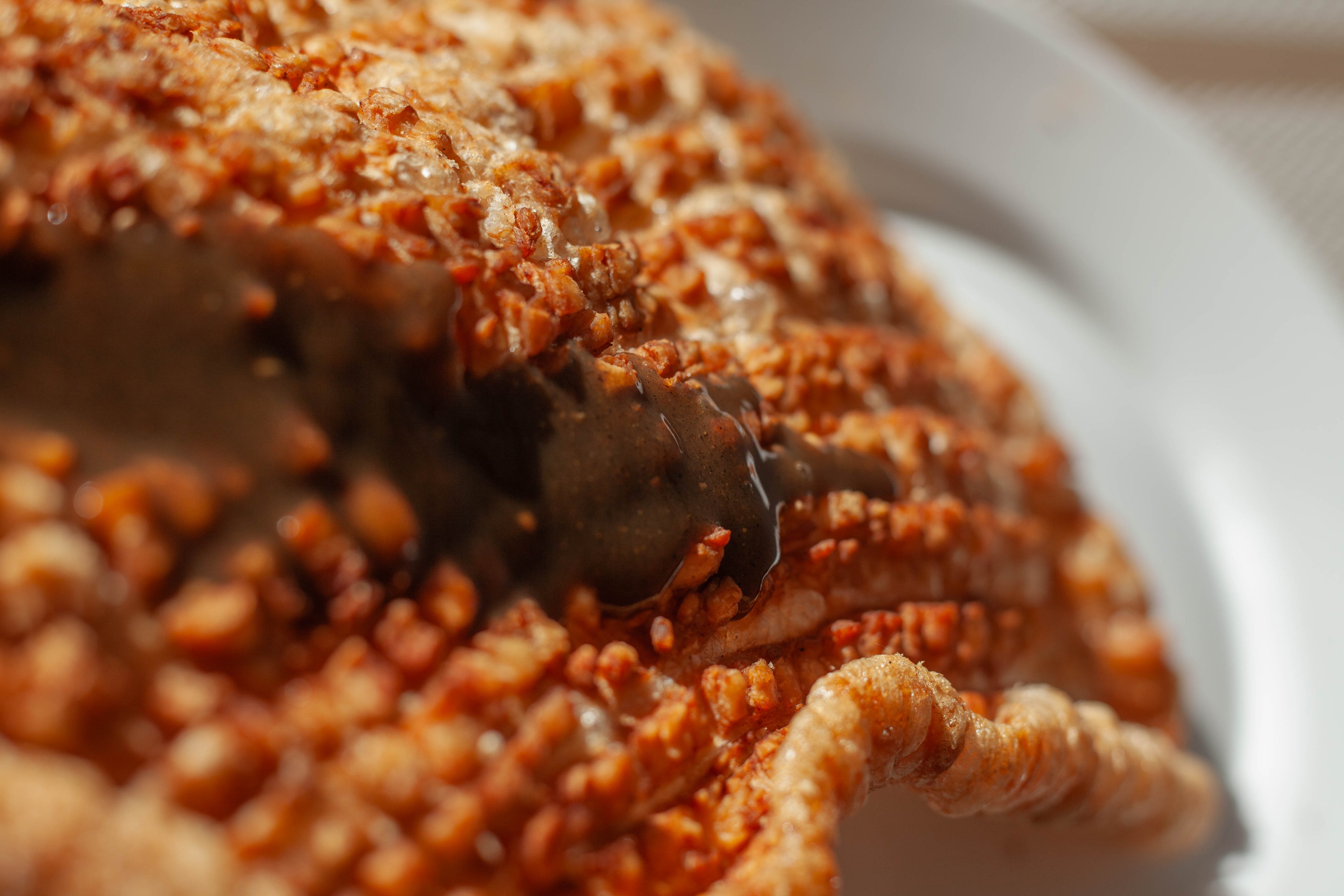 Chicharrón Crujiente con Glaseado Oscuro de Chile